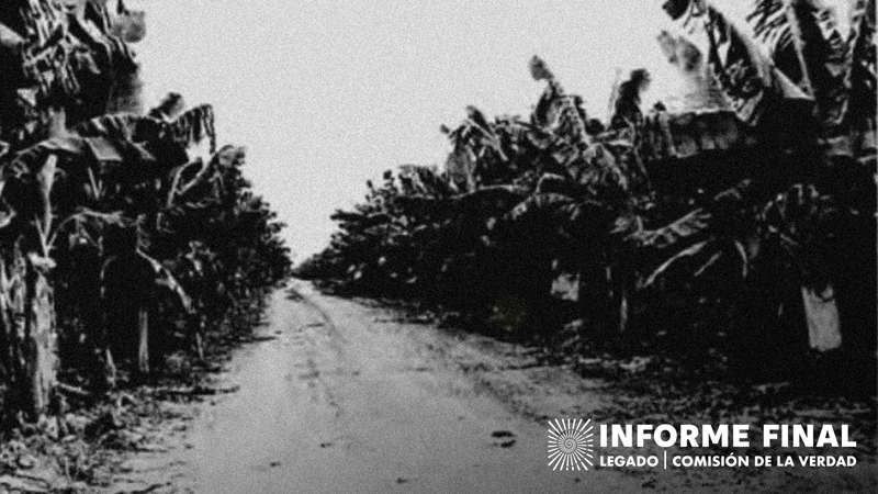 En blanco y negro, vista antigua de un camino en medio de plantaciones de banano