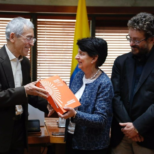 Presentación del Informe Final ante la Sala Plena de la Corte Constitucional 