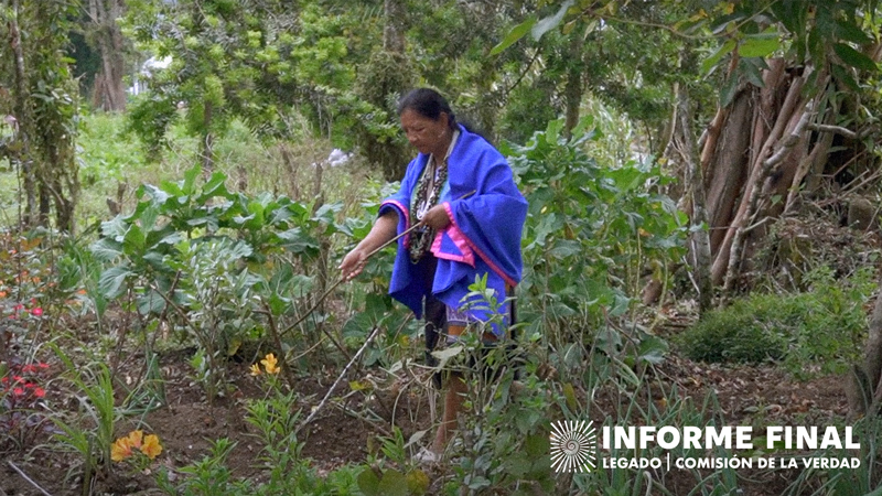 Mercedes Jacanamijoy portando vestido tradicional colorido caminando en medio de plantas