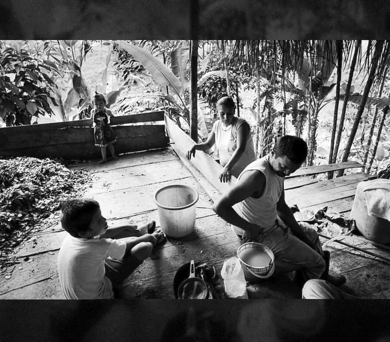 Esta familia de cuatro integrantes maneja una finca cocalera. Con la ayuda de familiares y vecinos, siembran, cosechan y producen pasta de coca que se utiliza para la producción de cocaina. Ganan alrededor de USD$1000 anuales, después de gastos. Algunas de sus principales preocupaciones son las fumigaciones del gobierno, redadas de la policía, y hostigamientos tanto de la guerrilla como de grupos paramilitares