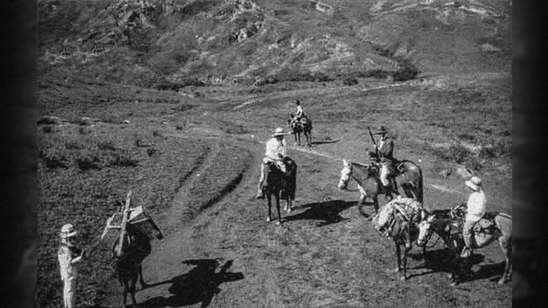 Hombres armados sobre caballos en el campo