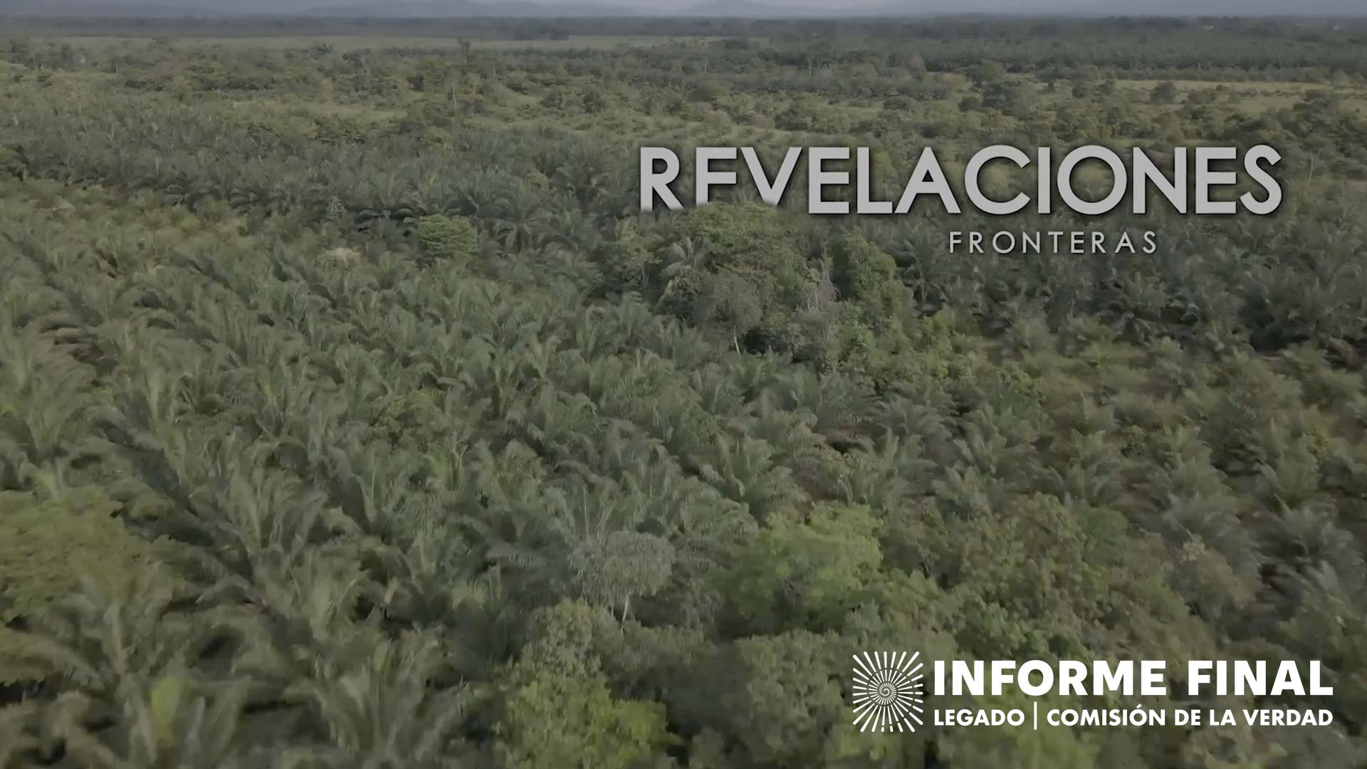 Toma panorámica de una plantación