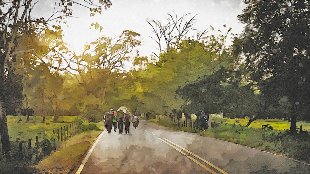 Fotografía intervenida. Grupo de personas de espalda caminando por una carretera con morrales de viaje. Árboles, día soleado